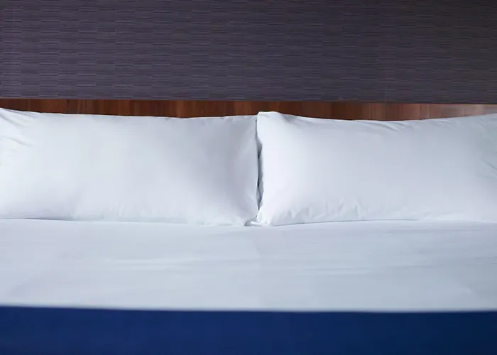 Hotel Express By Ihg Friedrichshafen